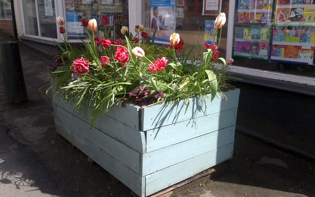 WEYHILL IN BLOOM NEEDS YOU!!!!
