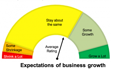 The first Haslemere Business Barometer