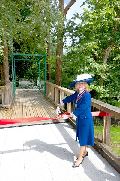 New treehouse provides a woodland view for patients at Holy Cross